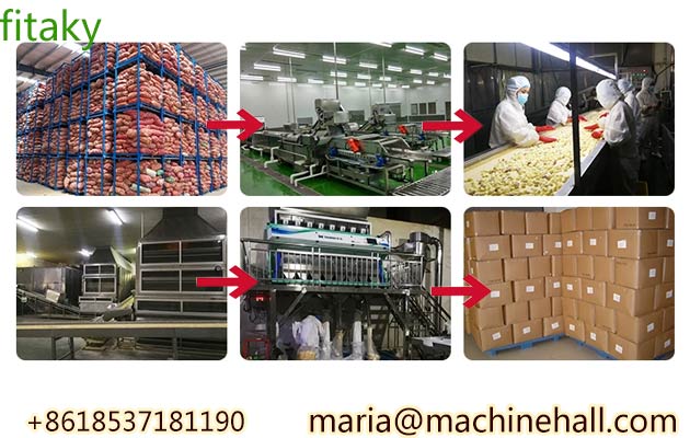 dehydrated garlic chips manufacturers