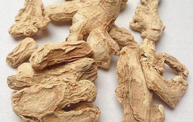 dried ginger root 
