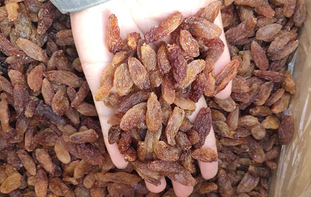 red raisin wholesale price 