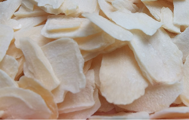 Dried Garlic Chips Bulk Wholesale in 