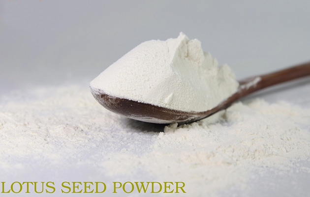 lotus seeds powder wholesale price 
