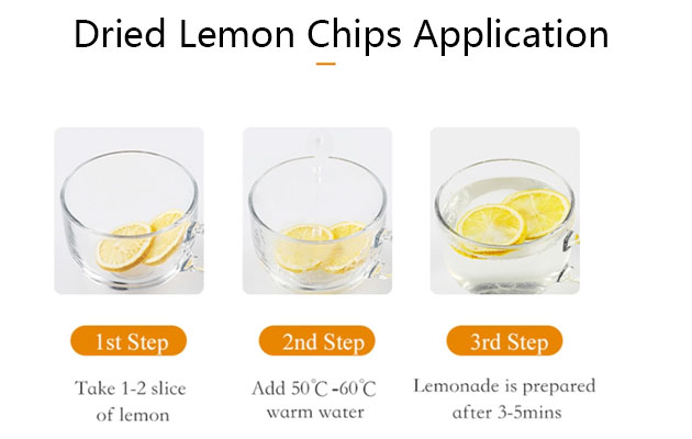 frozen lemon chips price 