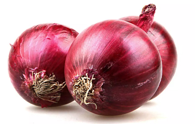 bulk red onion wholesale 