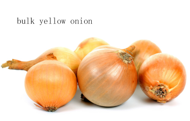 yellow onion wholesale price