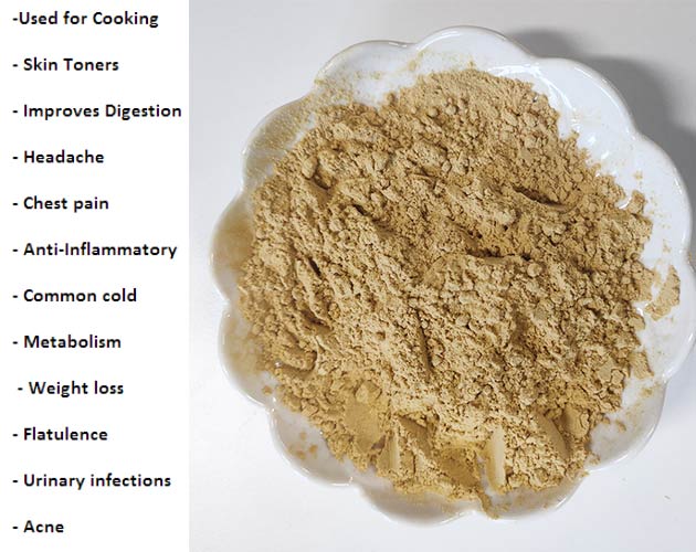 benefit of the ginger powder