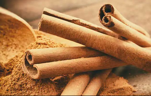 cinnamon powder wholesale price 