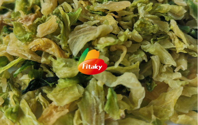 Natural Dehydrated Cabbage Vegetables Hot Sale