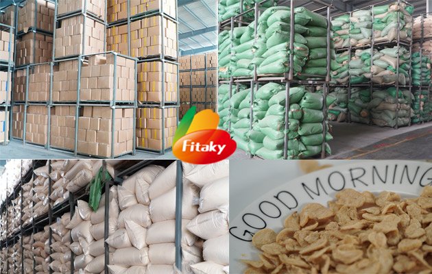 fried garlic chips wholesale 