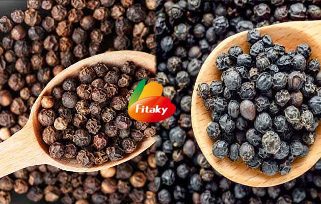 black pepper supplier 