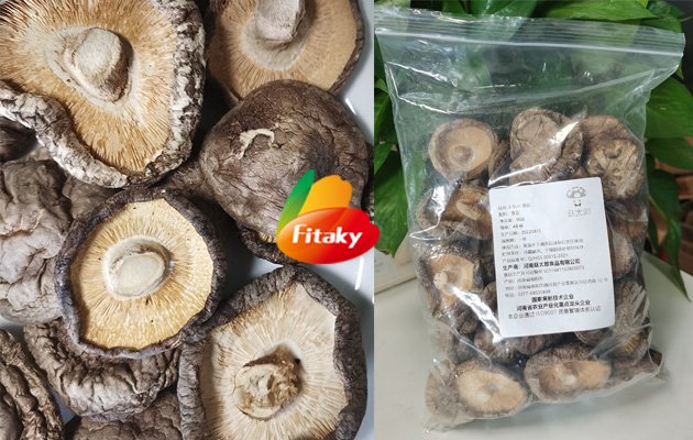 dried mushroom 
