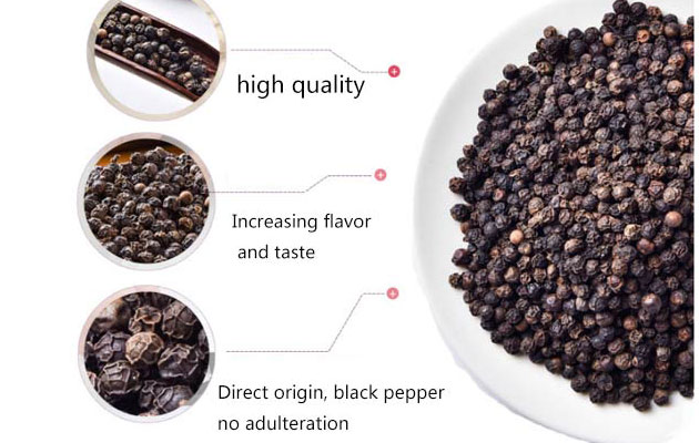 black pepper price