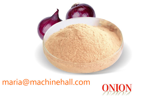 onion powder supplier