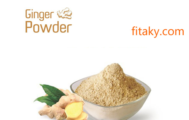 bulk ginger powder price