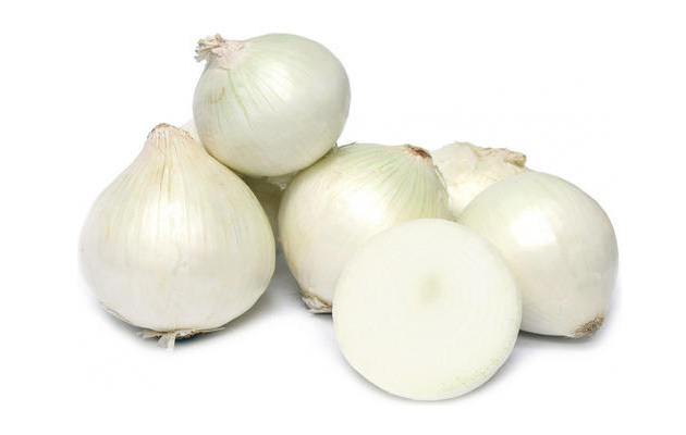 white onion supplier