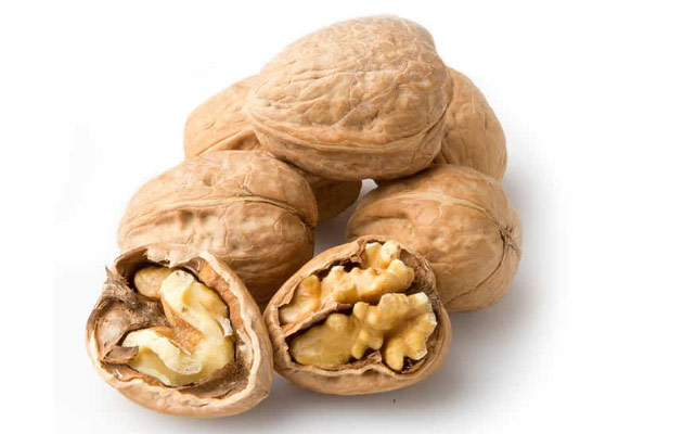 paper shell walnut