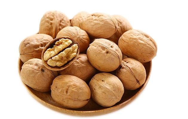 chinese walnut wholesale