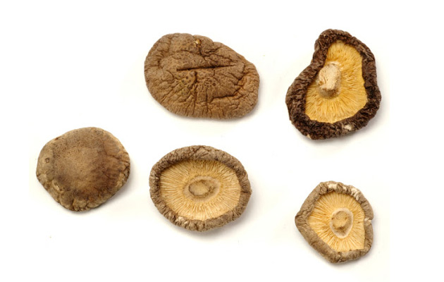 dried shiitake mushroom wholesale price