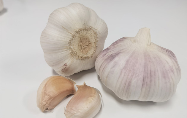 bulk garlic wholesale price