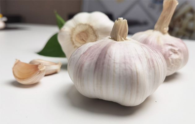 garlic price