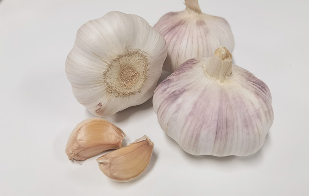 garlic wholesale price