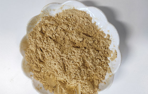 ginger powder wholesale price