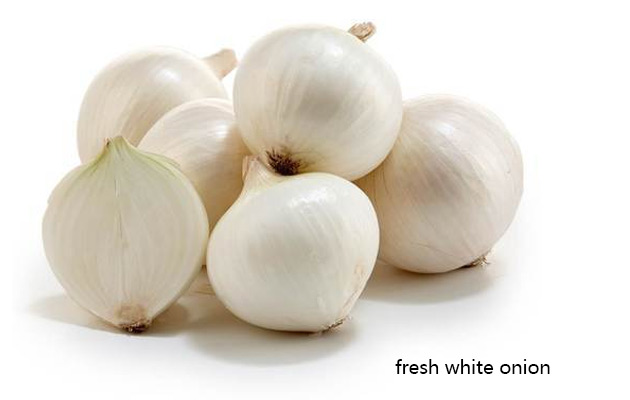 fresh onion price