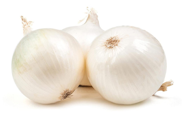 bulk white onion wholesale