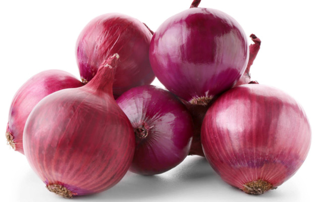 fresh onion wholesale price