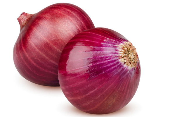 bulk onion wholesale price