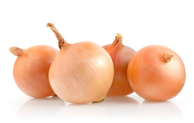 bulk onion price