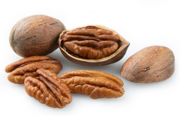 pecan nuts factory price