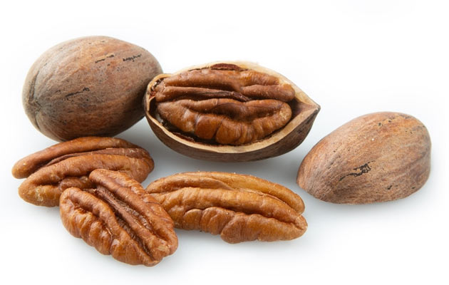 Bulk Pecan Nuts Wholesale Price