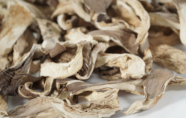 Bulk Dried Mushrooms manufacturers